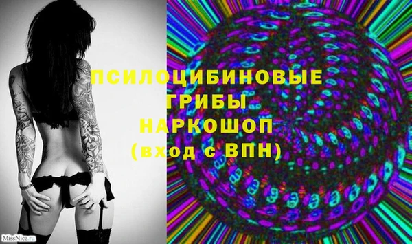 бошки Балахна