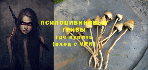 бошки Балахна